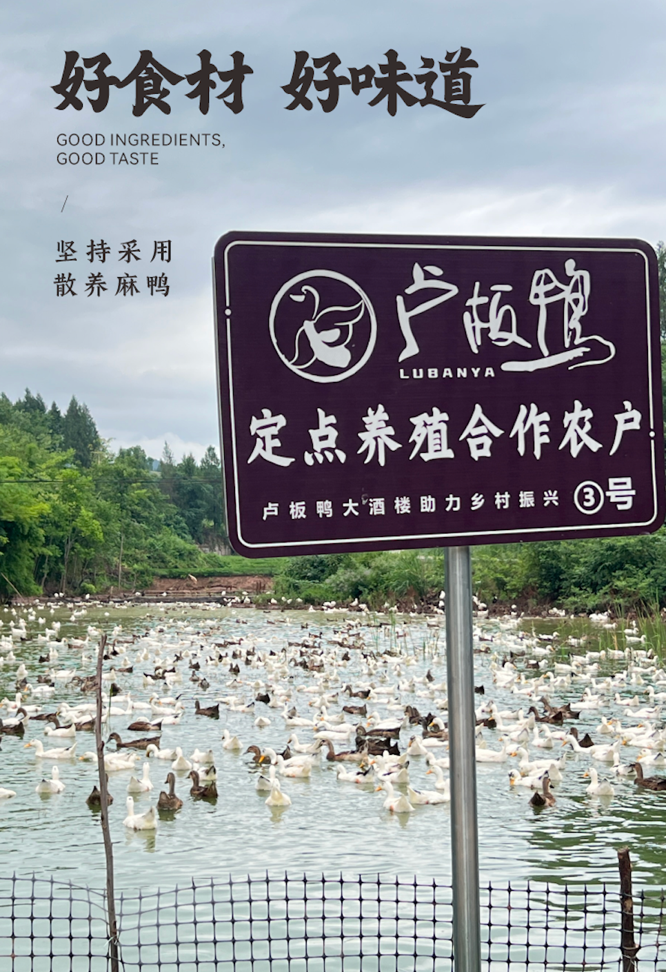 卢板鸭非遗工坊 外景